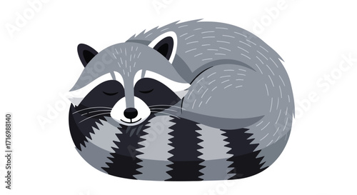 Cartoon Raccoon Curled Up Asleep Cute Graphic Animal Illustration on White Backdrop Design for Children Educational Material and Print 60 characters
