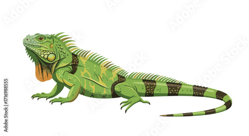 Illustrative depiction of a vibrant green iguana basking in a serene environment, displaying intricate details of scales and spines against a clean