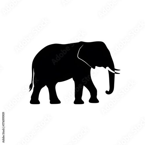 Elephant vector silhouette illustration on white background