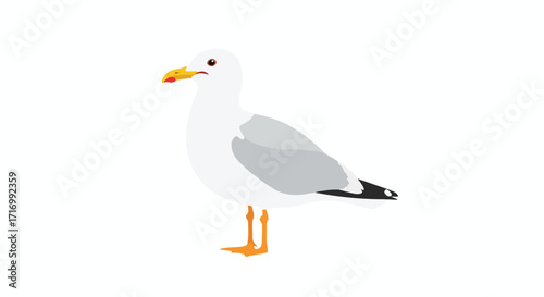 Isolated vector illustration showcasing a graceful seagull standing tall against a serene white backdrop with an engaging expression