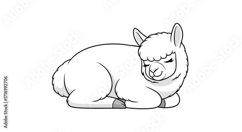 Resting Andean Alpaca Illustration: A peaceful depiction of a white alpaca in a tranquil slumber, presented as a charming line drawing