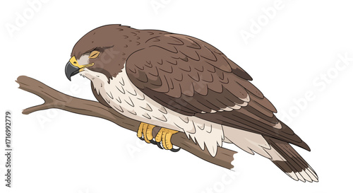 Artistic depiction of an eagle resting peacefully on a branch in a tranquil setting, showcasing its majestic plumage with fine details and soft