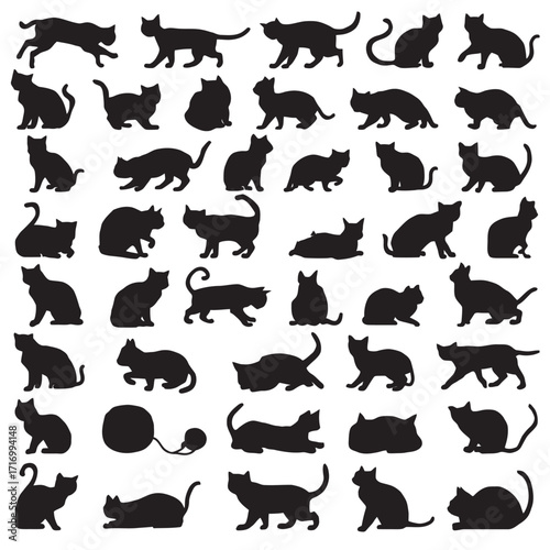 set of pets