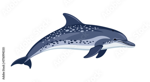 Spotted dolphin illustration showcasing detailed markings against a clean white backdrop enhancing clarity and focus for educational or design