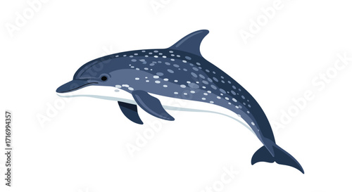 Stylized vector illustration portraying a spotted dolphin in elegant motion against a stark white background