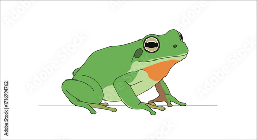 Illustration of a vibrant green frog with distinctive orange throat, perched on a minimal line against a clean white background for nature-themed