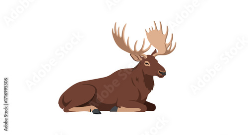 Resting moose illustration against a seamless white background displaying majestic antlers in a reclined position showcasing calm and isolation