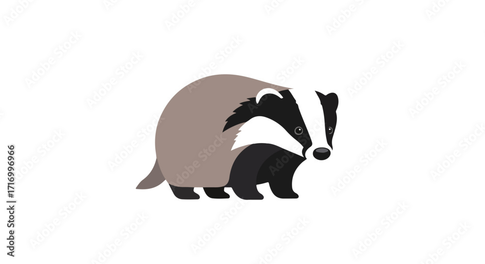 Obraz premium Stylized badger illustration isolated on white background for educational or design projects, showcasing a modern and simplified animal representation