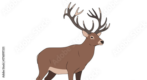Illustration of a stately brown deer with impressive antlers standing elegantly against a pure white backdrop offering an uncluttered aesthetic