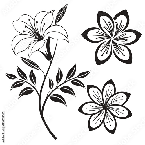 Black and White Outline of Flowers and Leaves Keywords: flowers, leaves, floral, botanical