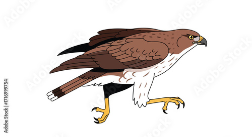 Animated portrayal of a brown hawk with outstretched leg, emphasizing avian grace and predatory bird demeanor while hunting its prey with sharp