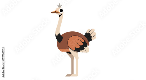 Stylized ostrich standing tall with geometric shapes on white, cartoon wild bird on a minimalist background, flightless bird from africa isolated on