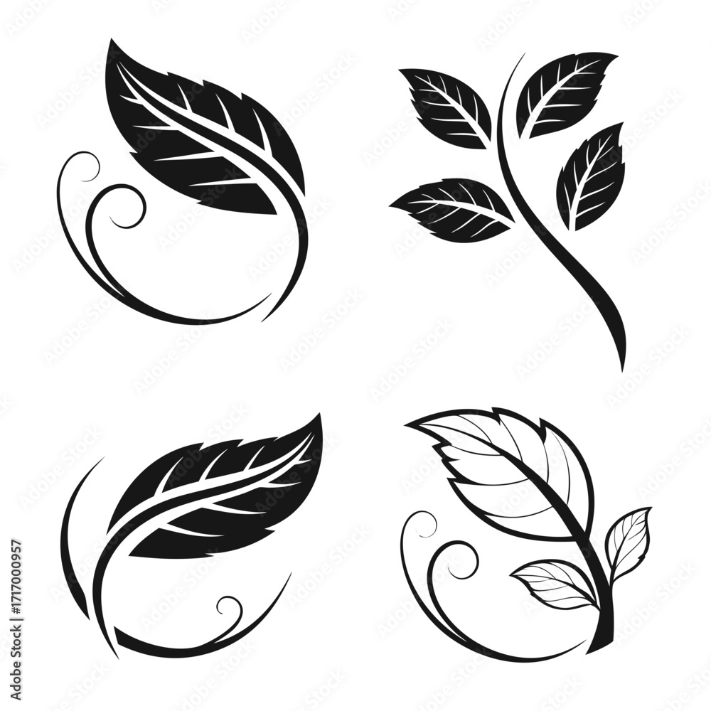 Fototapeta premium Decorative Leaf and Swirl Motifs leaves nature