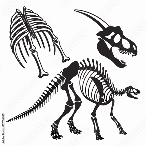 Dinosaur Skeleton and Skull Silhouettes bones fossil