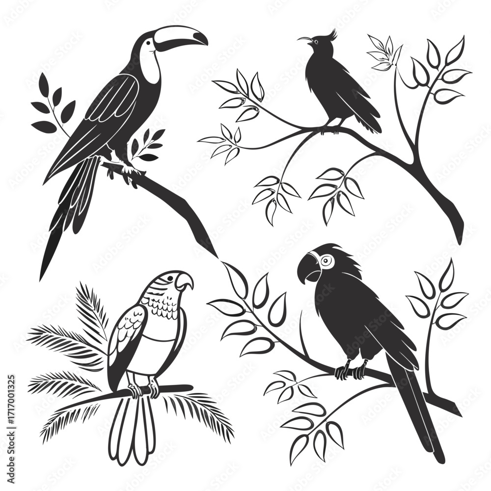 Obraz premium Diverse Tropical Birds Silhouettes on Branches Keywords: bird, silhouette, tropical, parrot