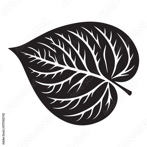 betel leaf icon