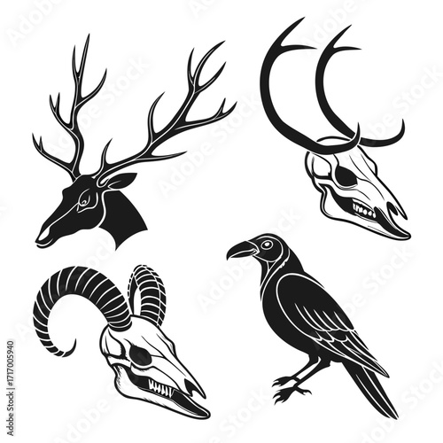 Set of Animal Skulls and Raven Silhouettes Keywords: skull, deer skull, ram skull, raven, crow