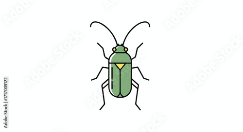 Stylized linear illustration of a green beetle with long antennae and geometric details insect vector drawing isolated on white