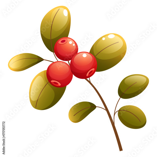 Vector illustration of lingonberries on a branch with leaves on a white background. Ripe autumn red cranberries, currants. Clip art on the theme of harvest, Thanksgiving, and autumn forest.