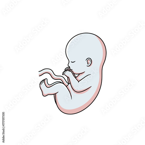 Stylized illustration of a human fetus or embryo in a curled position with an umbilical cord, representing early development.