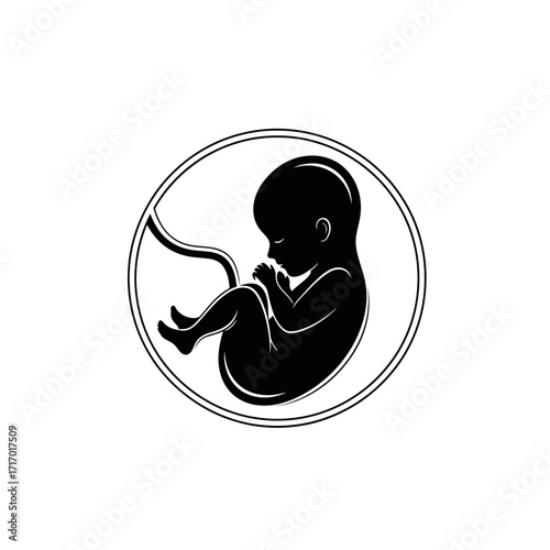 Silhouette of a fetus inside the amniotic sac, showing a developing baby in a womb.