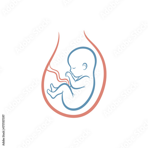A stylized line art illustration of a fetus developing inside a womb with an umbilical cord.
