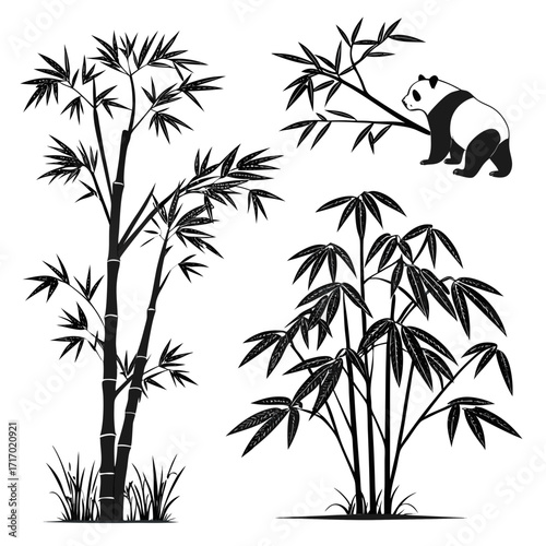Panda and Bamboo Silhouettes on White Background bear