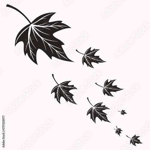 Black maple leaves in a falling cascade on white autumn
