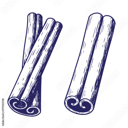 Hand drawn illustration of cinnamon sticks isolated on a white background in vintage style