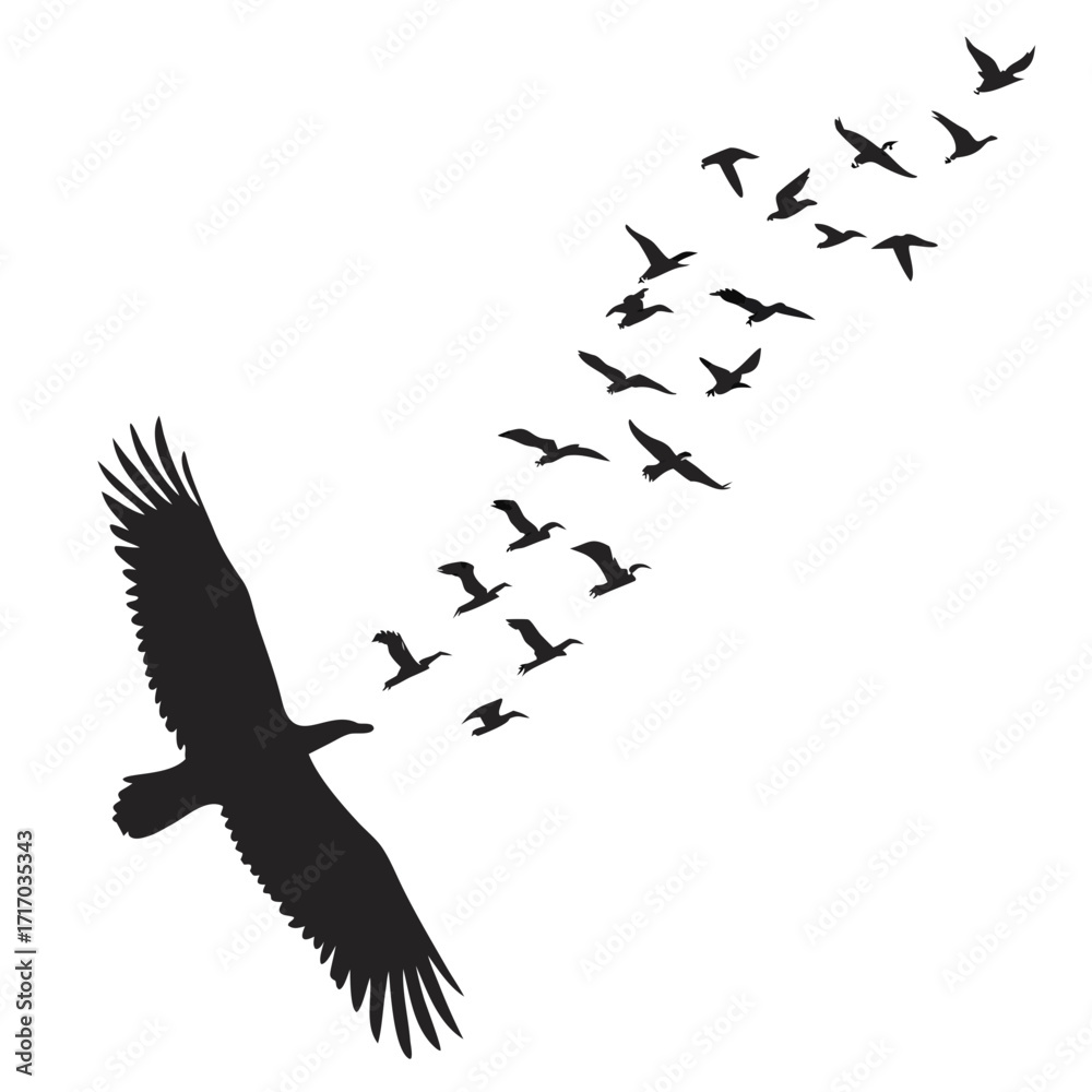 Fototapeta premium Silhouette of eagle leading flock of birds in flight