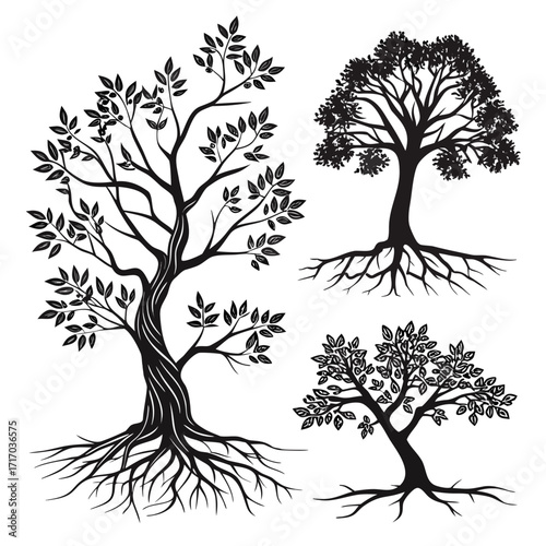 Three Black Silhouette Trees With Intricate Roots nature
