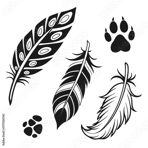Tribal Feathers and Paw Prints Tattoo Designs illustration