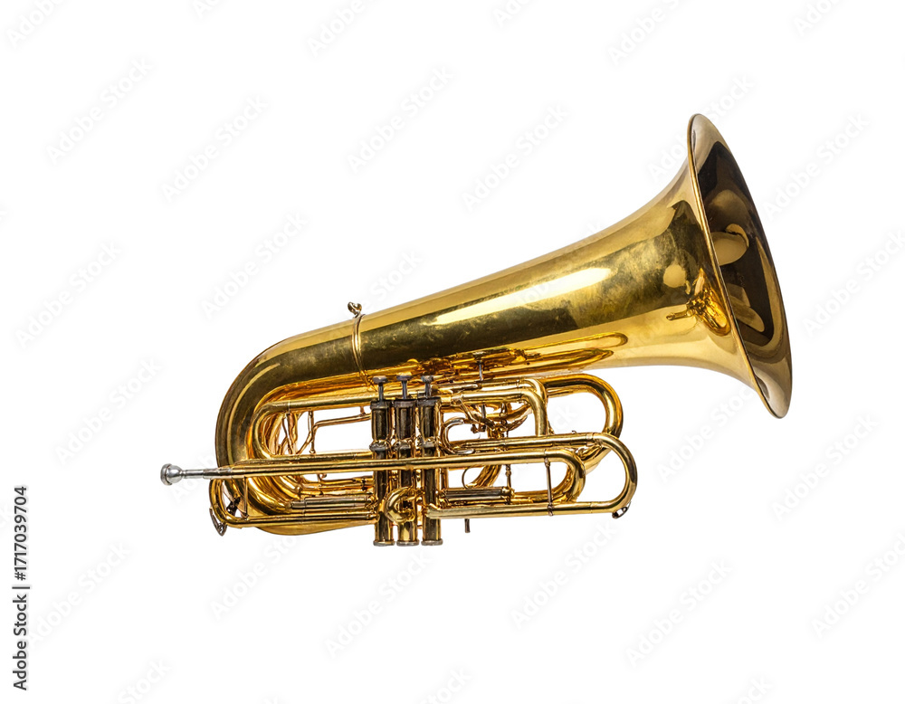 Naklejka premium Tuba and Trumpet Duo in Golden Finish 