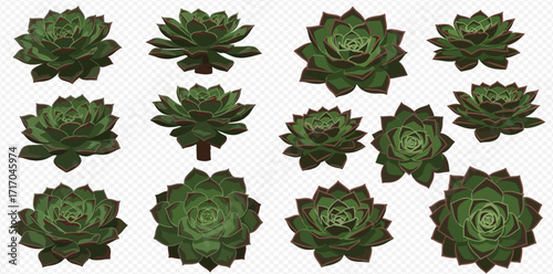 Collection of stylized green succulent plants, arranged in a grid pattern against a transparent background.