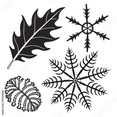 Black Silhouette Oak Leaf and Fern Frond with Snowflakes