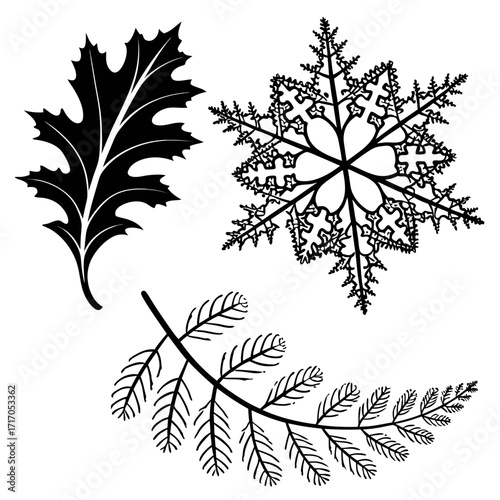 Oak Leaf and Snowflakes with Fir Branch shapes