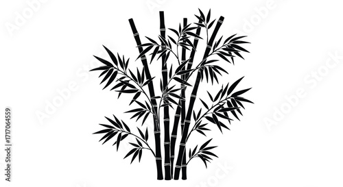 Silhouetted bamboo stalks and leaves in a dense cluster against a white background.