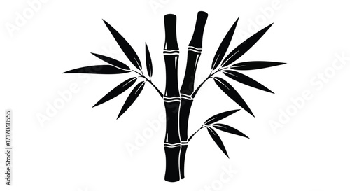 Silhouetted bamboo plant with dark stems and leaves against a white background.