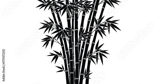 Silhouetted bamboo stalks and leaves, a graphic representation of a dense bamboo cluster.