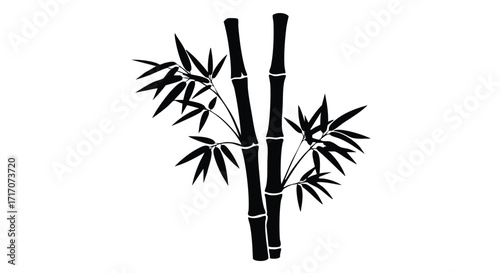 Silhouette of two bamboo stalks with lush foliage.