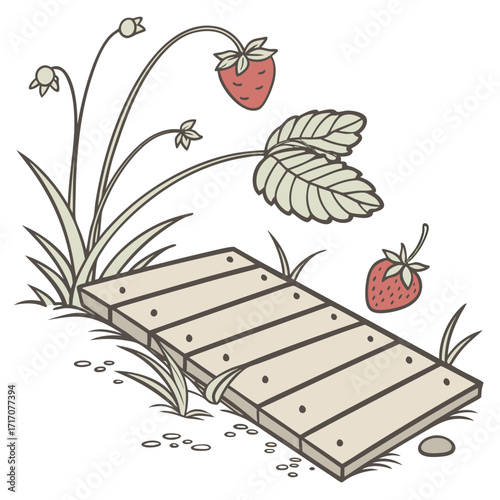 Strawberry Plant and Wooden Path fruit wild