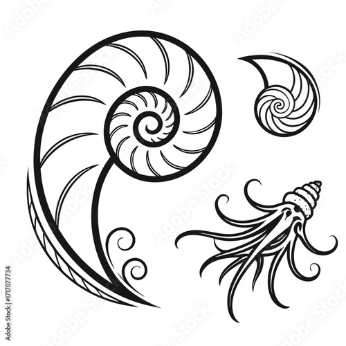 Stylized Nautilus Shell and Tentacles Illustration