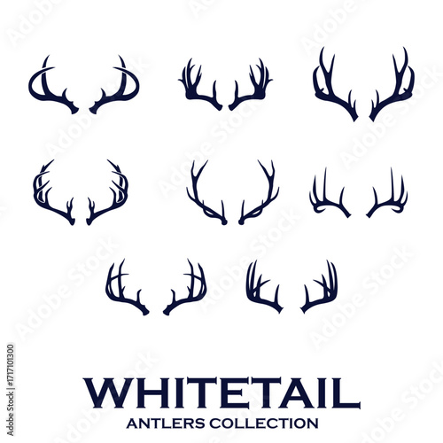 Whitetail Deer antlers collection of deer horns vector illustration