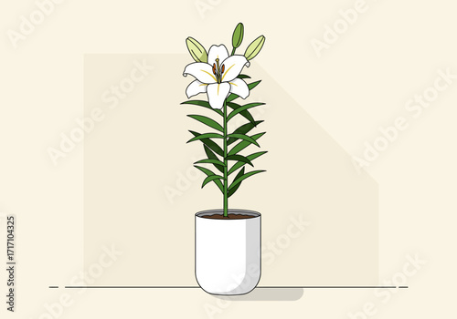 Vector Illustration of a White Lily Plant in a White Pot