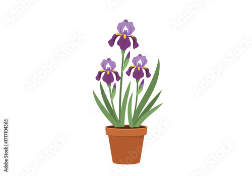 Vector Illustration of Purple Irises in a Terracotta Pot