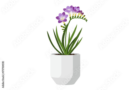 Beautiful Freesia plant with vibrant purple blossoms and slender green leaves in a minimalist white pot.
