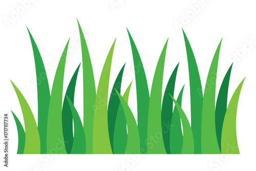 Illustration of Vibrant Green Grass Blades on White Background Depiction