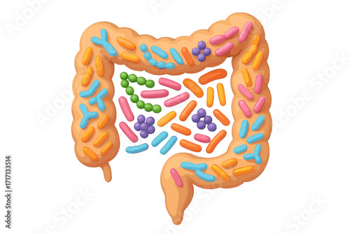 3D probiotics bacteria in intestine shape. Gut microbiome, microbiota concept. Healthy digestion. Bifidobacterium, lactobacillus. Good gut flora for colon health. Vector.