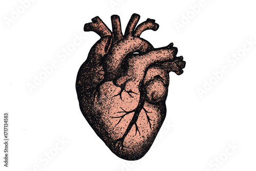 Human heart anatomy illustration in retro magazine style. Halftone dot collage with grungy stippling texture. Vector for cardiology, medical, health, science, and love concepts.