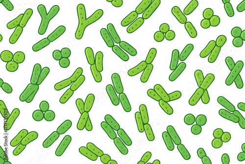 Seamless pattern with human microbiome flora featuring bifidobacterium, lactobacillus, lactococcus for medicine, dietary supplements, gastrointestinal health vector design